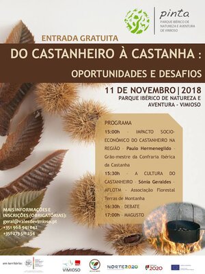 do_castanheiro_a_castanha