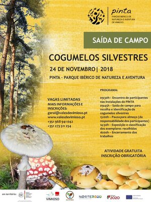 Cogumelos_Silvestres