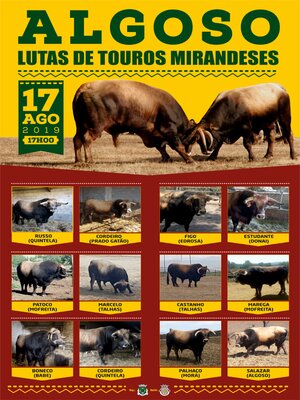 Cartaz touros 2019 1 300 400