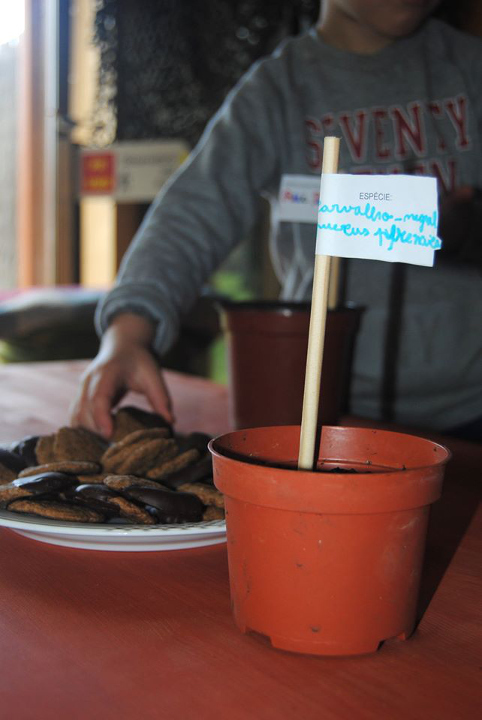 78497422_2627279750693962_6327133683442515968_o