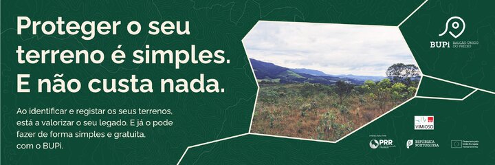 Header_Social Media_Local_Header_Twitter_Standard-01