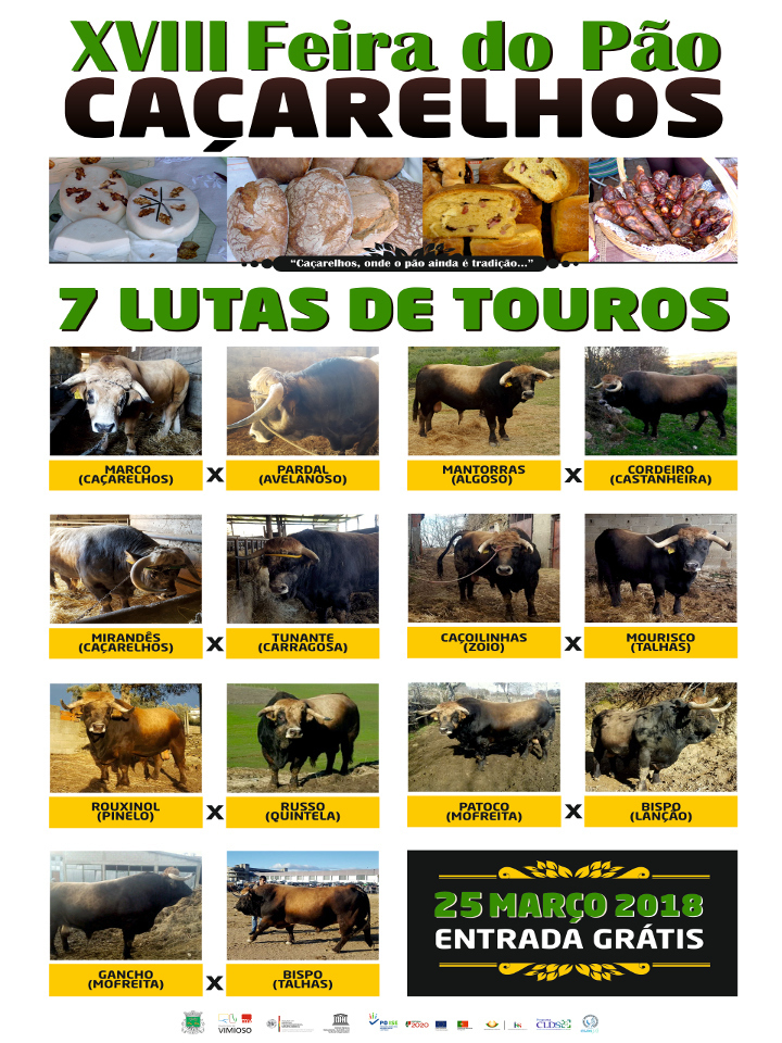 CARTAZ LUTA TOUROS 2018_2 (3)