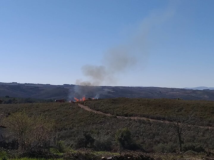 54728808_301520190509703_1088548354385772544_n