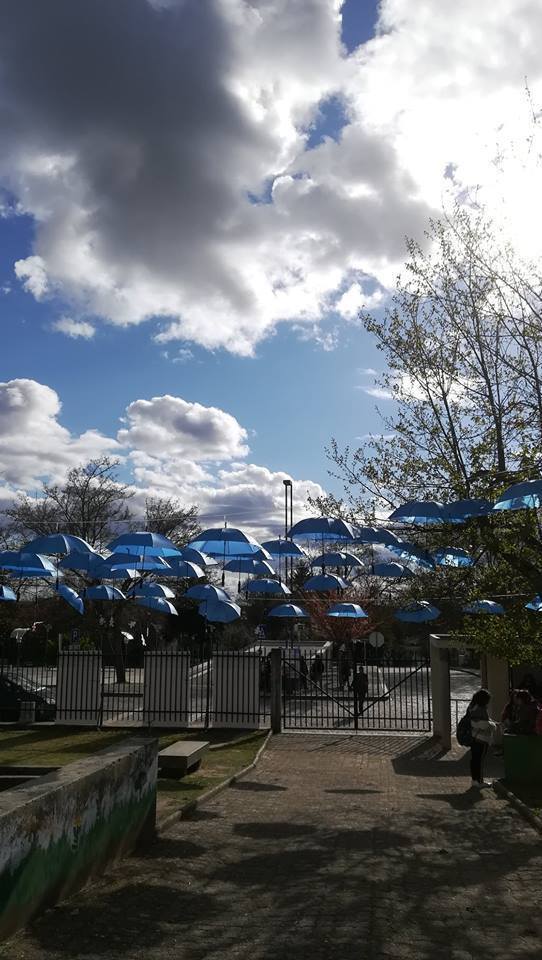 56255350_277514043189319_6810364353745780736_n