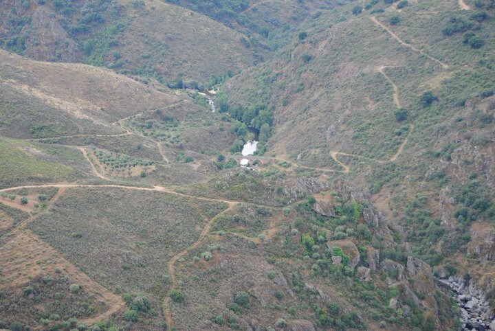 36446297_1817844598304152_7434567743468208128_o